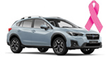 2018-23 Subaru Crosstrek BCE Logo
