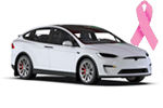2022-25 Tesla Model X, Model X Plaid BCE Logo
