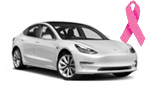 2017-23 Tesla Model 3 BCE Logo